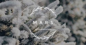 Läs mer om artikeln Mars – USA – Historik